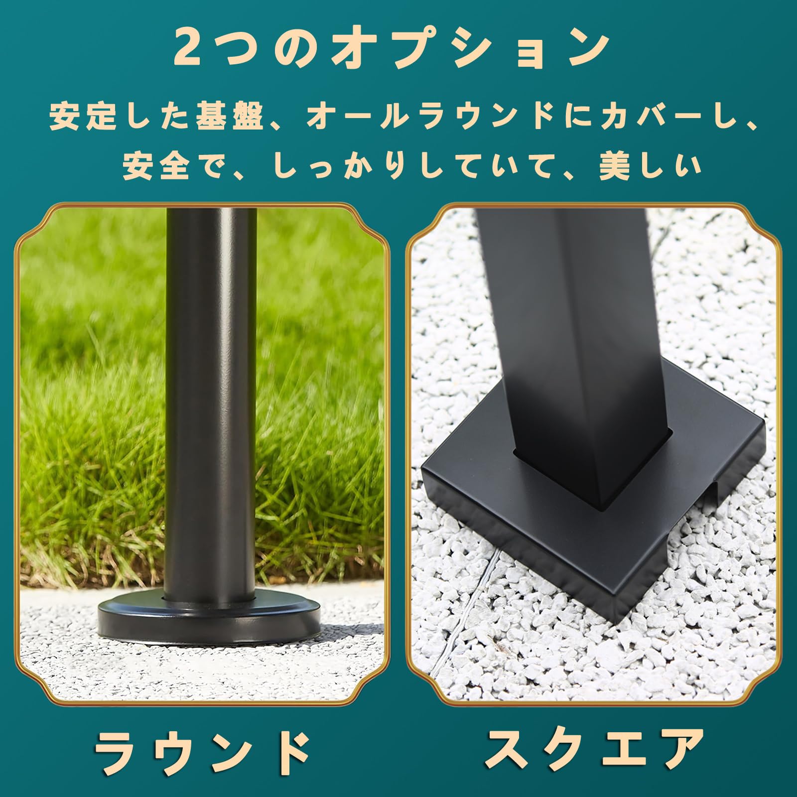 弁慶柱　rook　20株 弁慶柱 rook 20株 SHOUCHIKUEN